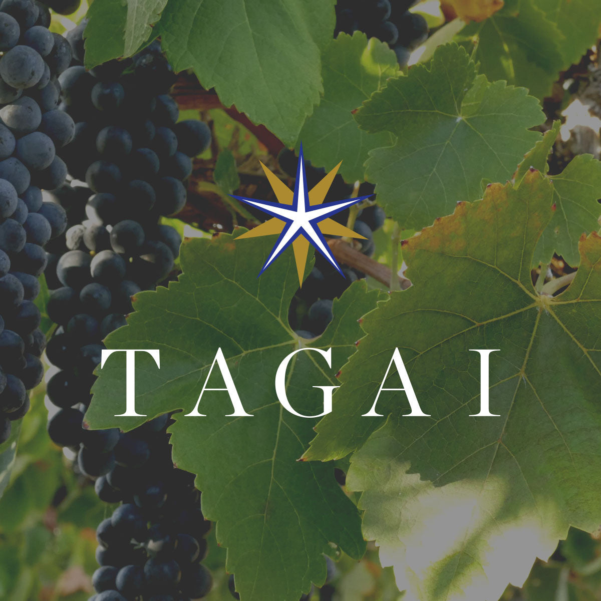 Collections - Tagai Vineyards and Cellar Door