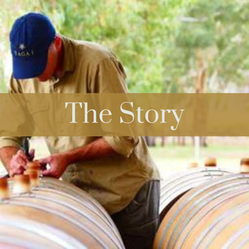Winemaker Viv Knight head down, wearing a blue cap, filling wine barrels with wine.